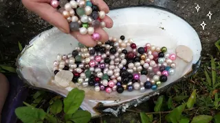 Treasure hunt / How many pearls are in giant oysters, the process of releasing pearls is so healing