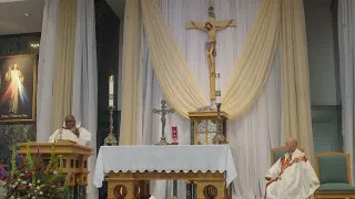 Homily for the 5th Sunday of Easter (Year B), 28 April 2024 in Naples, FL.
