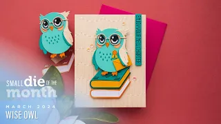 Spellbinders March 2024 Small Die of the Month – Wise Owl