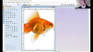 Modeling Gold fish In Aspire