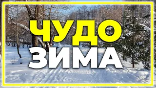 Чудо ЗИМА в Україні 2023 - 2024 років / Погода на завтра в Україні