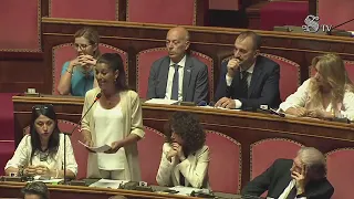 Di Girolamo - Intervento in Senato (25.07.23)