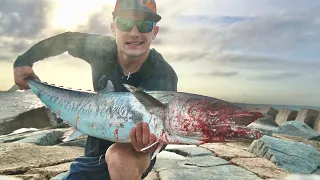 Catching GIANT Kingfish and Jack Crevalle from Jetties!