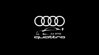 Audi A4 B7 DTM avdph