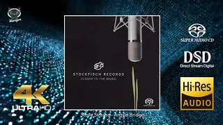 Steve Strauss - Argyle Bridge  (4K Hi-End audiophile sound)