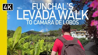 Funchal Levada, Madeira Portugal |  Levada Dos Piornais Narrated Walking Tour