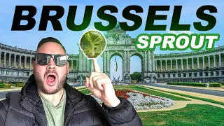 I Flew all the way to Belgium for a Brussel Sprout : Part 1  | DadBudTours