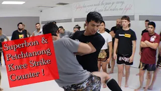 Superbon & Petchtanong Banchamek Technical breakdown. Ep. 1 Knee Counter!