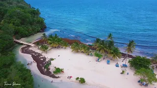 Playa Rincón Beach - Caño Frio, Samana Republica Dominicana. Taino Drone