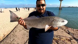 Spi jetty fishing red fish and black drum