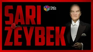 SARI ZEYBEK