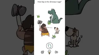 How Big Is The Dinosaur Egg 🦖🥚| level 72 |