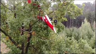 Zur Abwechslung mal wieder eine Baumbergung bei uns!