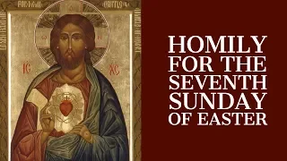 Homily for the Seventh Sunday of Easter (Year B)