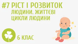 Ріст і розвиток людини. Життєві цикли людини #7