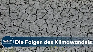 ERDERWÄRMUNG: Klimawandel - "Die Warnsignale kann man nicht mehr verdrängen" | WELT Interview