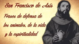 SAN FRANCISCO DE ASÍS, FRASES DE DEFENSA DE LOS ANIMALES, DE LA VIDA Y LA ESPIRITUALIDAD