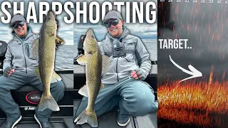 Sharpshooting SHALLOW Spring Walleyes with Garmin Livescope!!