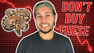 Top 5 Worst Ball Python Morphs To Invest In