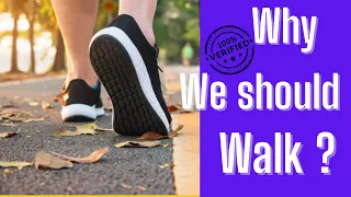 Why We Should Walk Everyday?