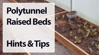 Polytunnel - Raised beds build