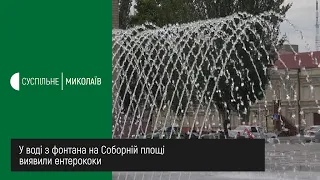 У воді з фонтана на Соборній площі виявили ентерококи