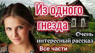 "ИНТЕРЕСНЫЙ РАССКАЗ" Анны Лукс "Из одного гнезда". Все части, „Христианские”| "трогательная история"