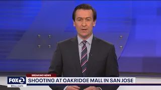 One person shot at San Jose mall