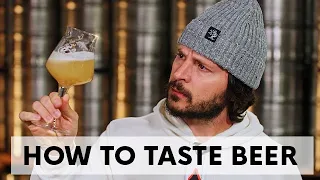 How to Taste Beer - Critically