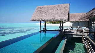 Four Seasons Private Island: EXCLUSIVE private island on Maldives 🇲🇻