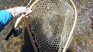 Eleven Mile Canyon: Summer on the South Platte River