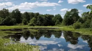 За тихой рекой - группа  "Калина folk"