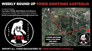 8 Yowie / Bigfoot Sighting All Over Australia (Witness Report )