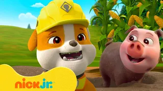 Rubbles Rettungsmissionen in der Natur! | 1 Stunde Compilation | Nick Jr. Deutschland