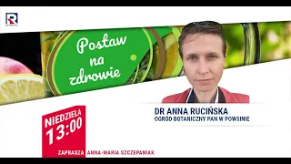 Zdrowie na łące - dr Anna Rucińska | Postaw na zdrowie odc.16