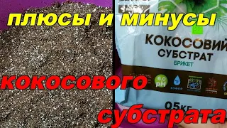 ☝☝ОСТОРОЖНО!! КОКОСОВЫЙ СУБСТРАТ. КАК ПРАВИЛЬНО ПОДГОТОВИТЬ КОКОСОВЫЙ СУБСТРАТ