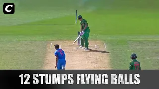 12 Unbelievable Cricket Deliveries!