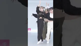 TWICE "The Feels" Random Unit Dance MOMO focus