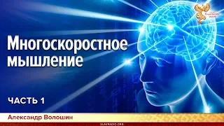 Многоскоростное мышление. Александр Волошин. Часть 1