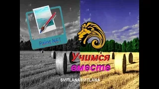 Paint.Net: Как из черно-белой фотографии сделать цветную