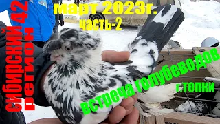 ГОЛУБИ.ЦЕНЫ март 2023г. (часть2) встреча ГОЛУБЕВОДОВ г.Топки.