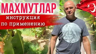 СКОЛЬКО МЫ ПЛАТИМ ЗА КОММУНАЛЬНЫЕ УСЛУГИ В ТУРЦИИ? / КАФЕ, ГДЕ ВКУСНО...