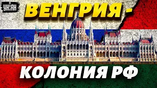 Венгрия стала колонией РФ. У кремлевского сынка нашли связи с Орбаном