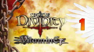 Divine Divinity - Начало за воина #1