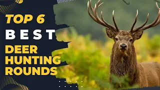 Top 6 Best Deer Hunting Rounds