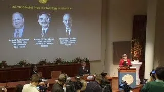 Названы лауреаты Нобелевской премии в области медицины