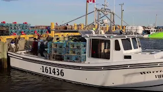 Stonehaven New Brunswick,Lobster Fishing @2