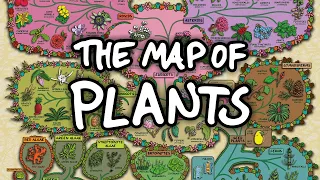 The Surprising Map of Plants