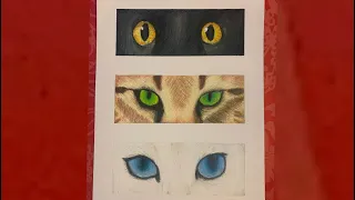 Drawing Cat Eyes in coloured pencils (Time Lapse)