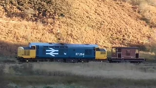 Class 37 Diesel, 37264 on the NYMR